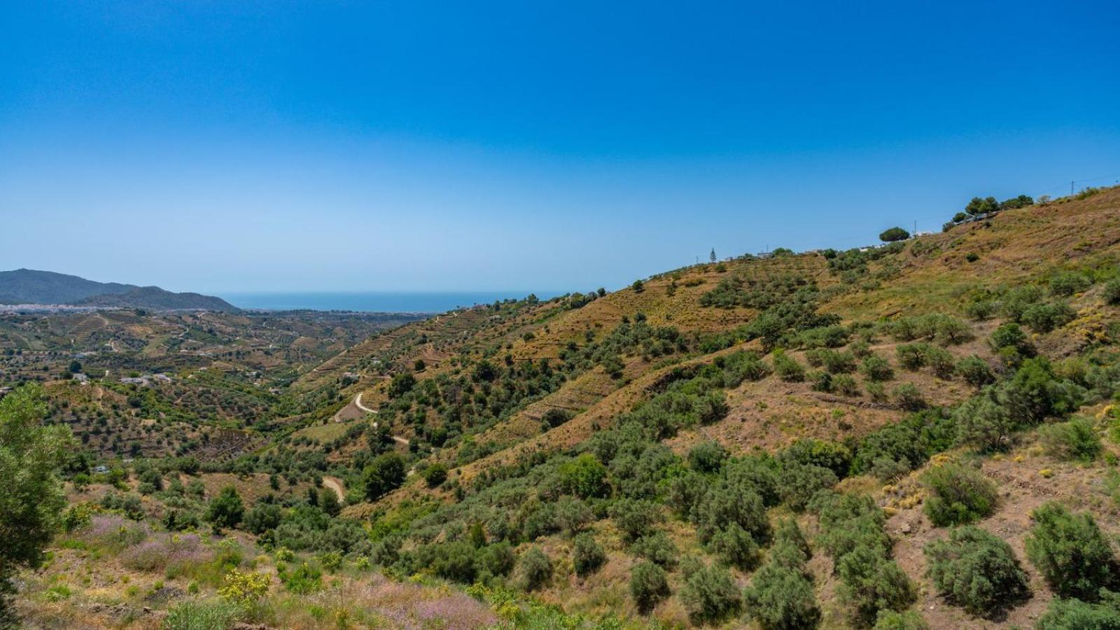 Cortijo El Mirador Frigiliana By Ruralidays Villa Buitenkant foto